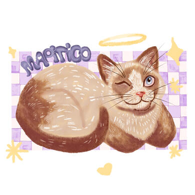 Tribute Pet